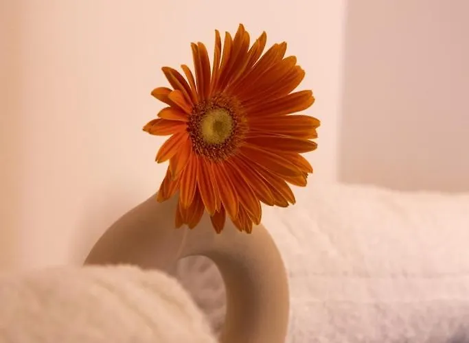 Daire Lieblingsquartier 1 Sankt Andreasberg