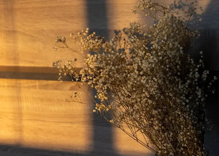 Daire Lieblingsquartier 1