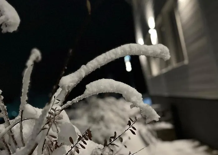 Lieblingsquartier 1 Daire